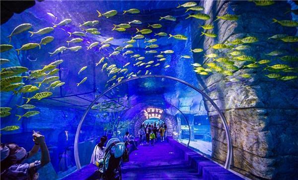 【甘快看】自力更生建家园