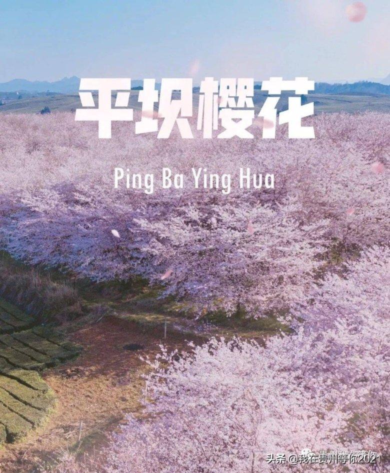 逃离空的老房子