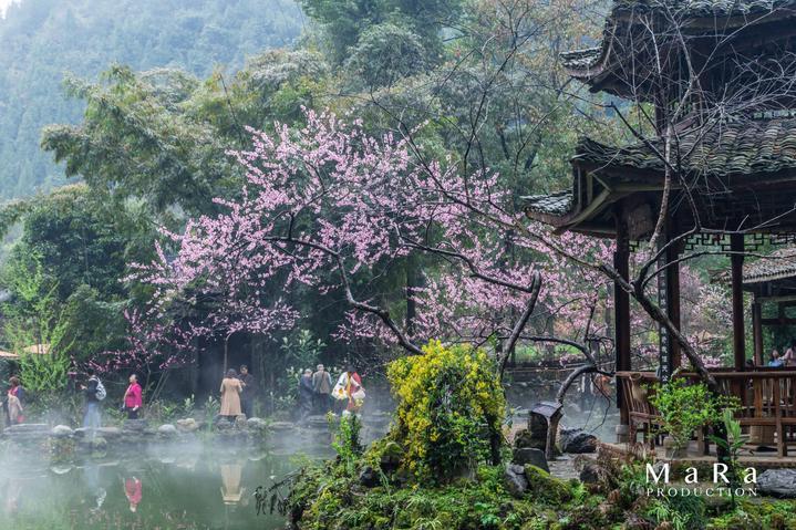7月10号去北京有限号吗？游戏画面