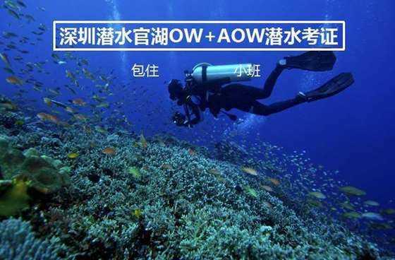子弹战士