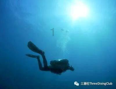 不吃饭,只吃水果能减肥吗-机智问答网页