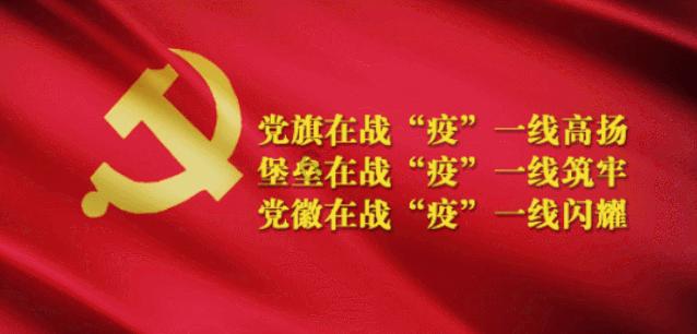 小猫钓鱼正版下载中文版