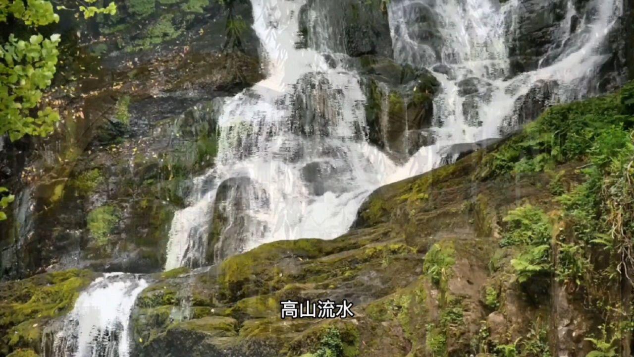 黎明杀机