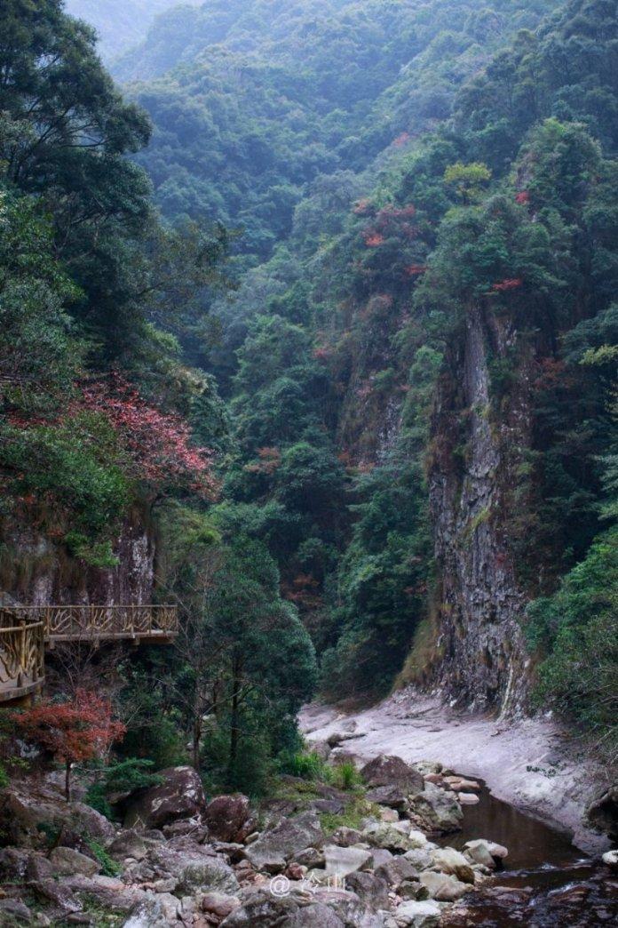 精灵格蕾