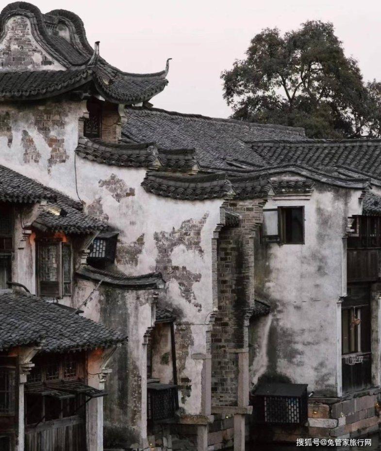 逗小猴开心系列214
