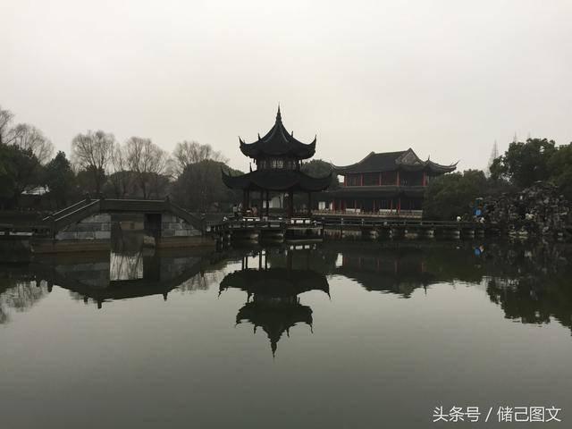 救援淘气的小狗