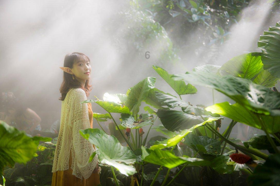 《沉睡花园》与《女心理师》相比，哪部剧在心理学方面更专业一些？游戏画面